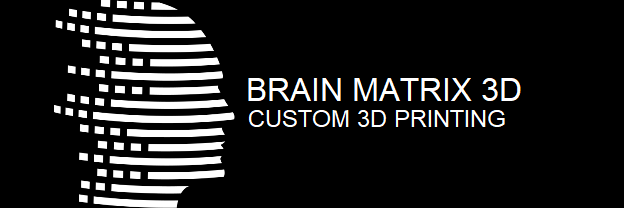 Brain Matrix 3D Printing